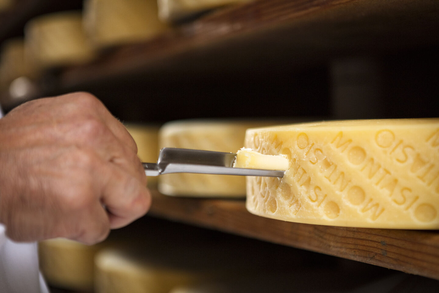 forma formaggio montasio